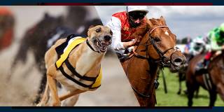 Best Odds Guaranteed on Dogs & Horses