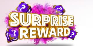 Surprise Reward