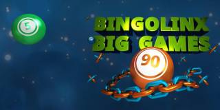 BingoLinx Big Game