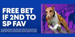 Boylesports Greyhounds