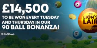 90 Ball Bonanza