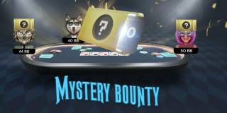 Mystery Bounty