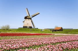 Голландская Ветряная Мельница