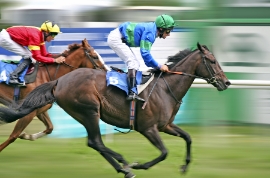 Corrida de cavalos