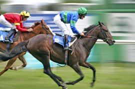 Horse Racing