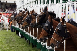 Evento de corridas de cavalos