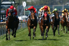 corrida de cavalos